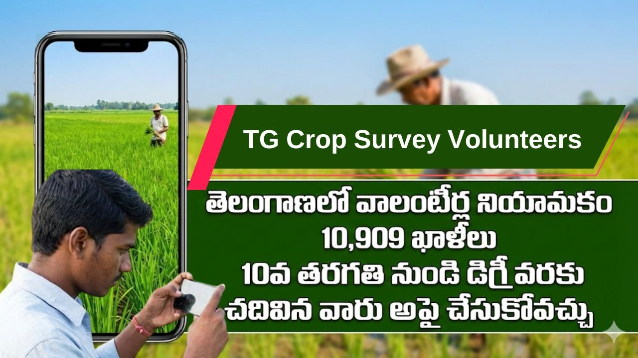 Crop Survey